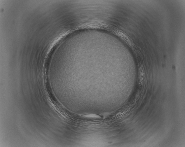 X0000067390680200604211634