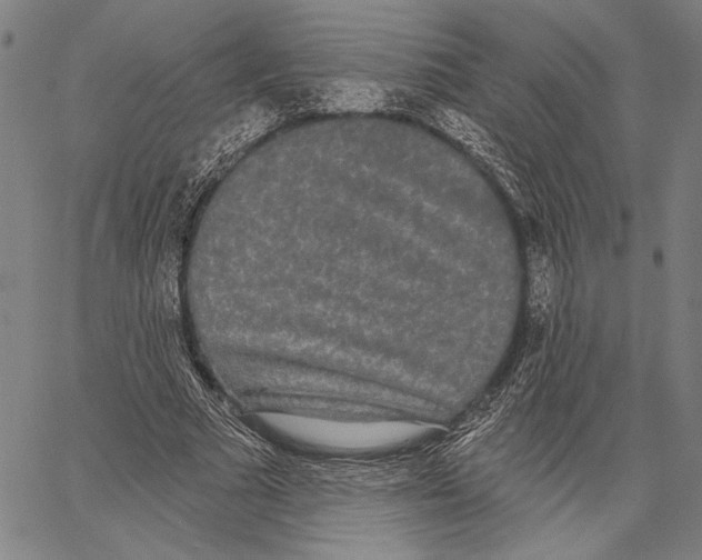 X0000067390681200604211634