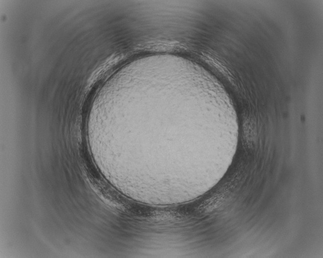 X0000067390682200604211634