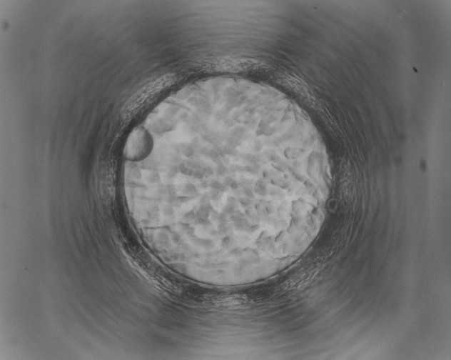 X0000067390683200604211634