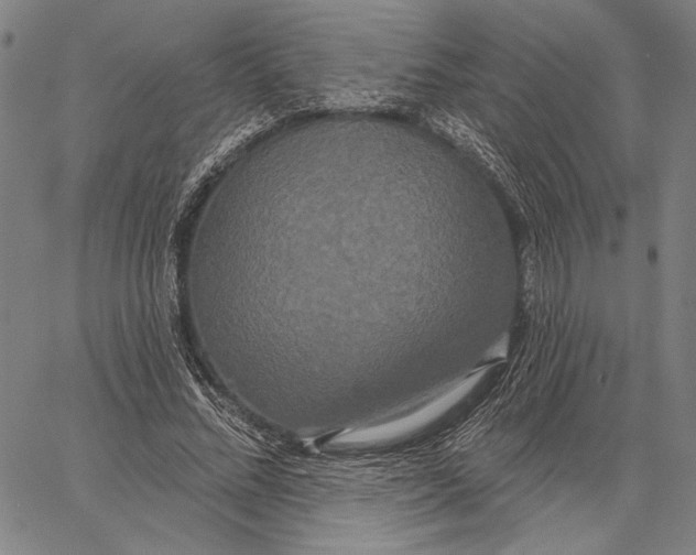 X0000067390684200604211634