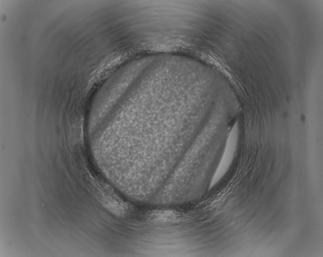 X0000067390685200604211634