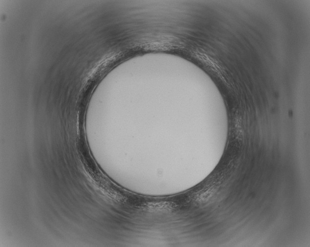 X0000067390686200604211634