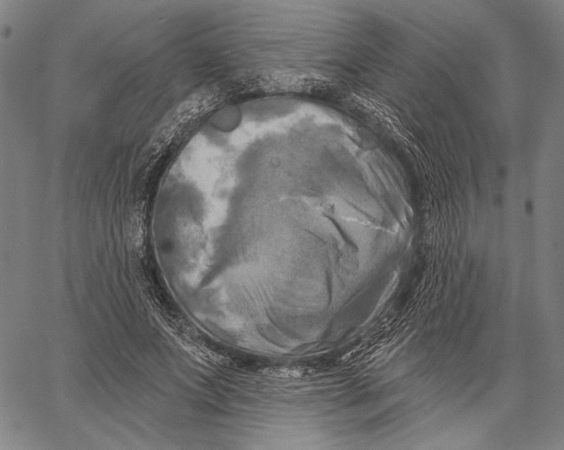 X0000067390687200604211634