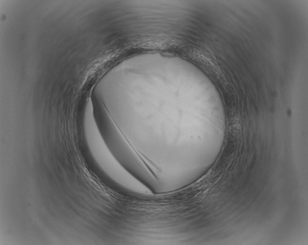 X0000067390688200604211634