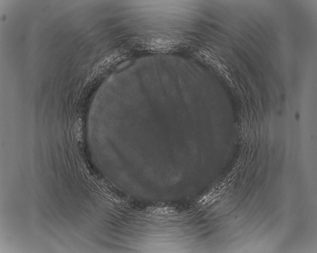 X0000067390689200604211634