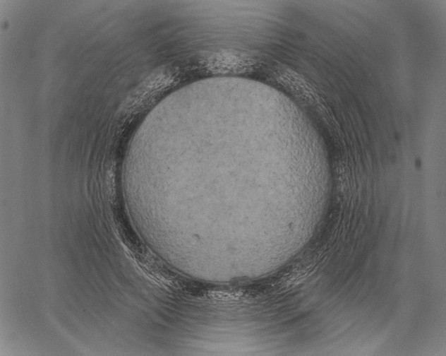 X0000067390690200604211634