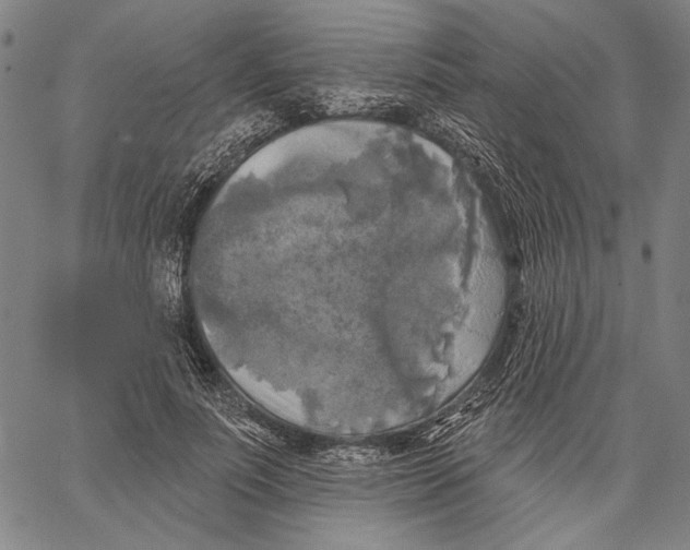 X0000067390691200604211634