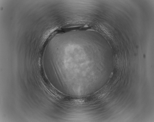 X0000067390692200604211634