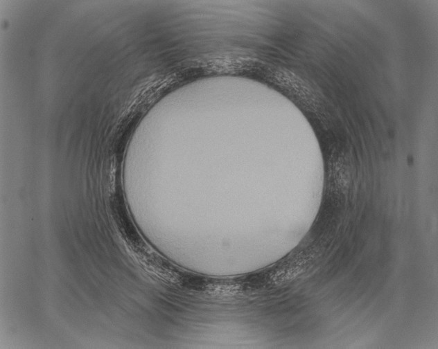 X0000067390694200604211634