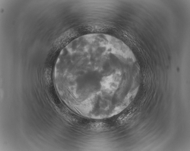 X0000067390695200604211634