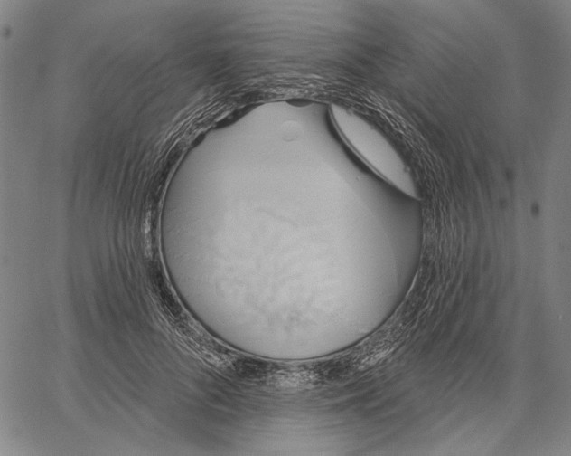 X0000067390696200604211634