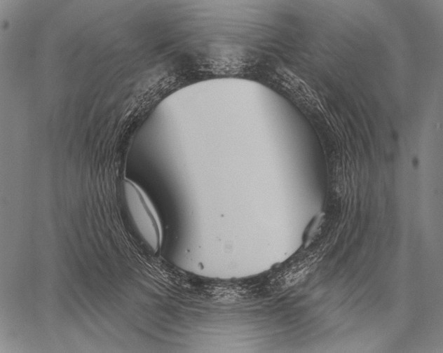 X0000067390697200604211634