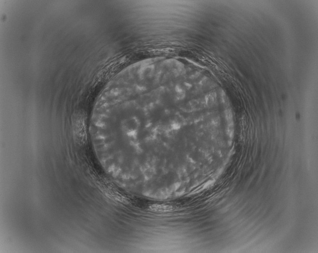 X0000067390699200604211634