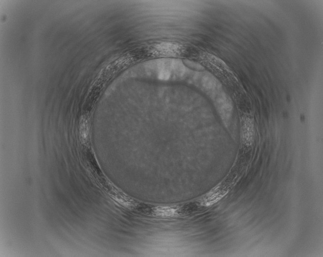 X0000067390701200604211634