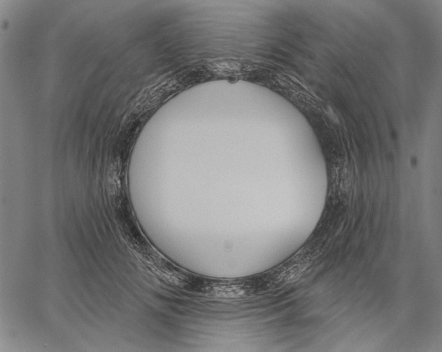 X0000067390702200604211634