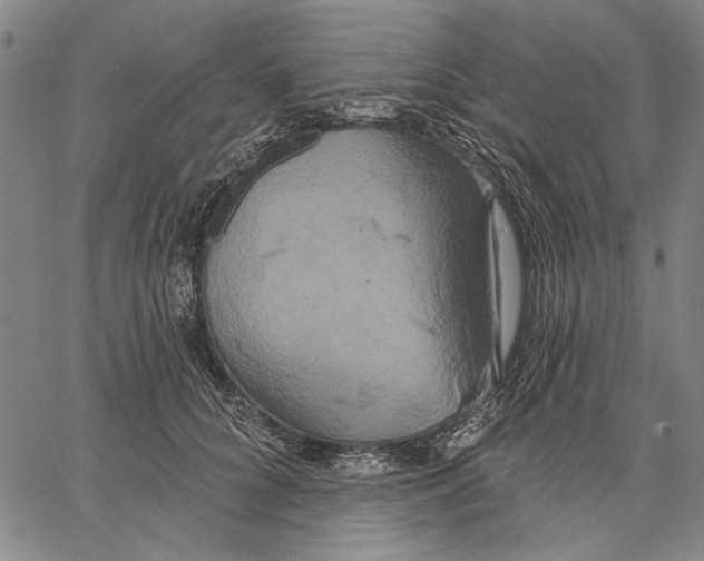 X0000067390704200604211634