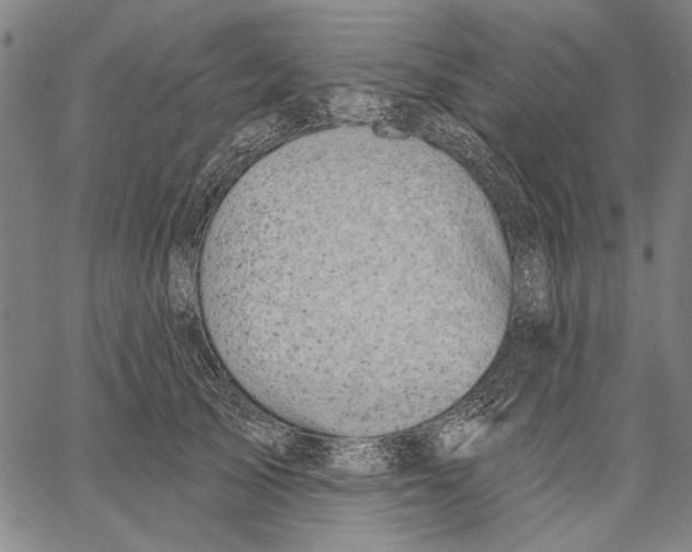 X0000067390705200604211633