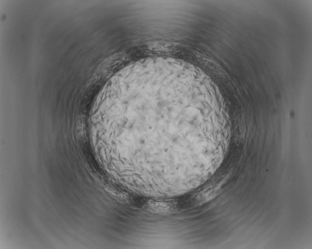 X0000067390706200604211633