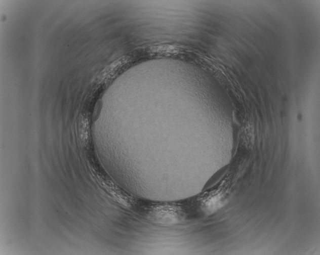 X0000067390708200604211633