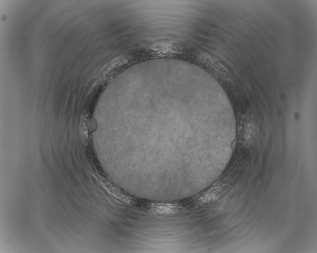 X0000067390710200604211633