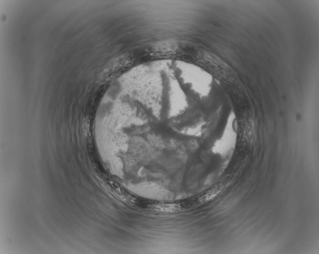 X0000067390711200604211633