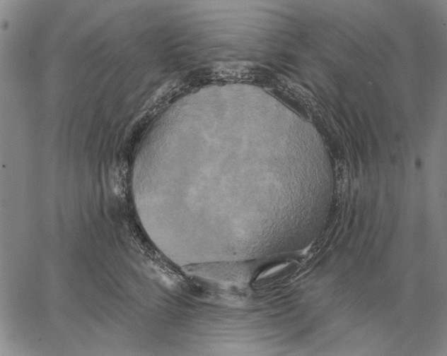 X0000067390712200604211633