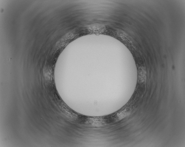 X0000067390713200604211633