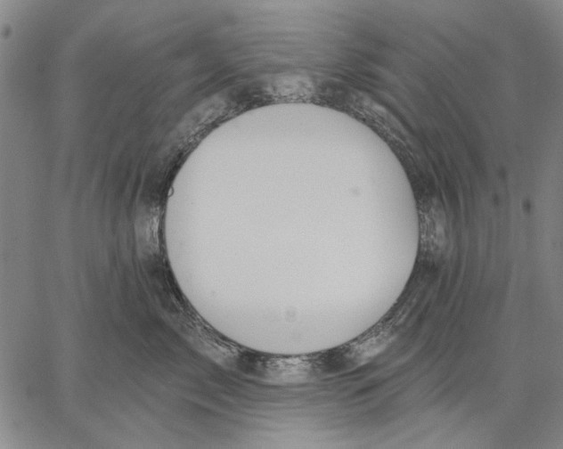 X0000067390717200604211633