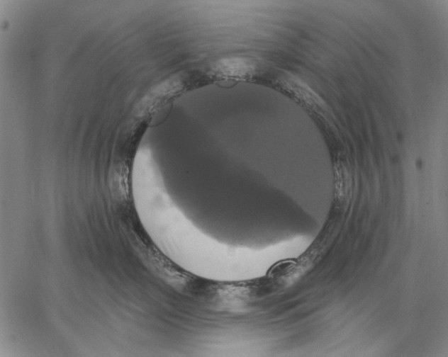 X0000067390718200604211633