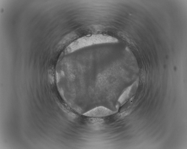 X0000067390719200604211633