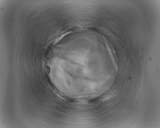 X0000067390720200604211633