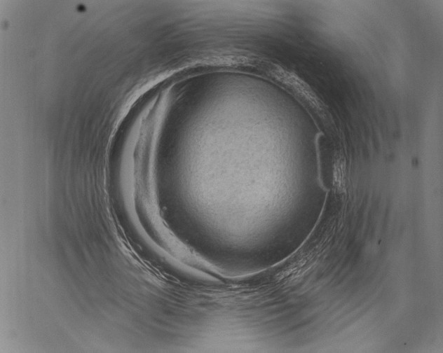 X0000067390724200604211633