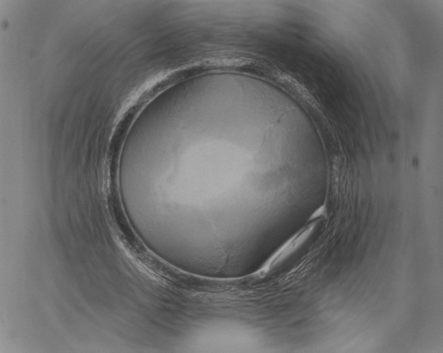 X0000067390726200604211633