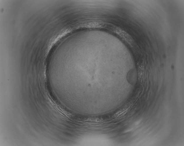 X0000067390727200604211633