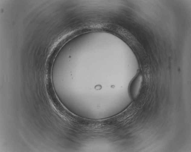 X0000067390728200604211633