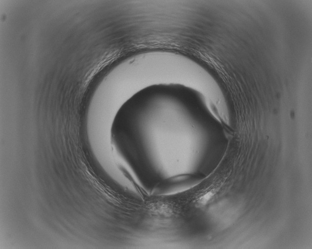 X0000067390735200604211633