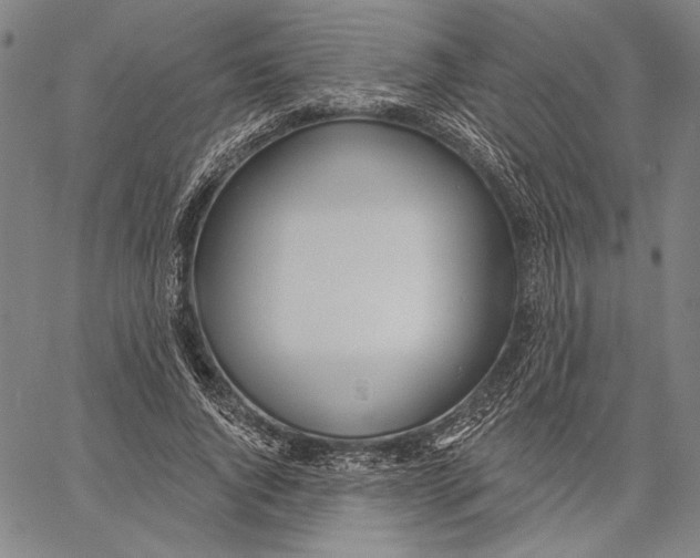 X0000067390736200604211633