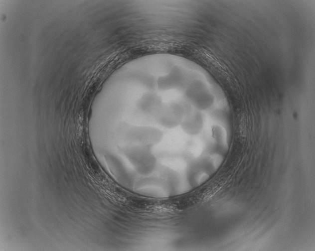 X0000067390737200604211633