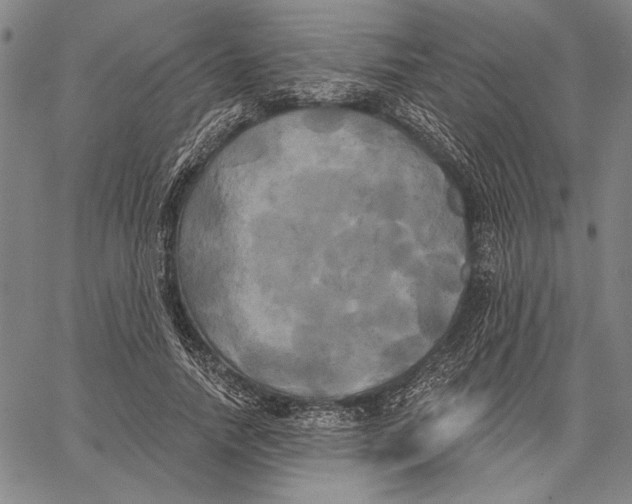 X0000067390738200604211633