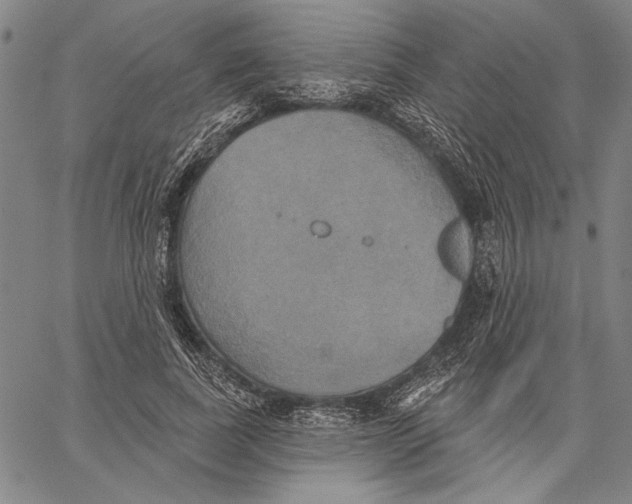 X0000067390739200604211633