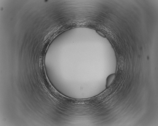 X0000067390740200604211633