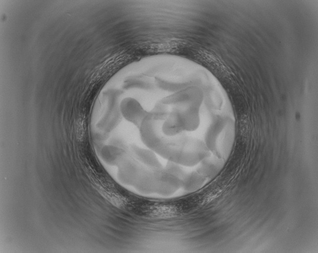 X0000067390741200604211633