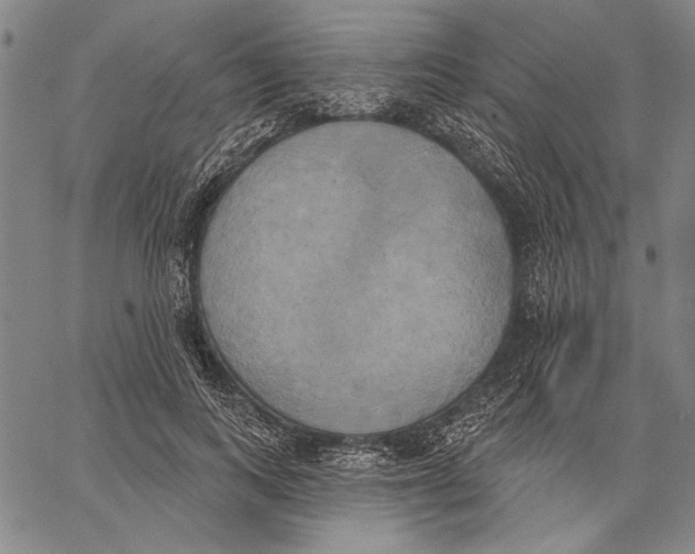 X0000067390743200604211633