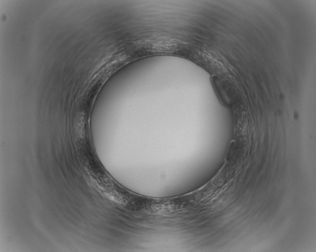 X0000067390744200604211633