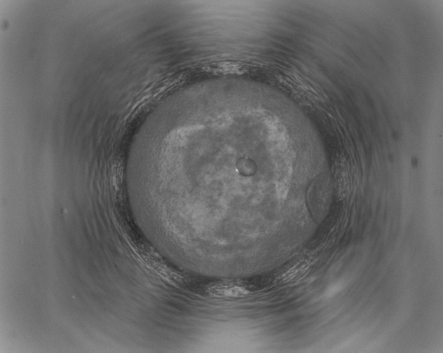 X0000067390747200604211633