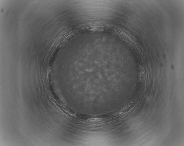 X0000067390748200604211633