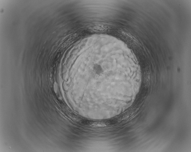 X0000067390749200604211633