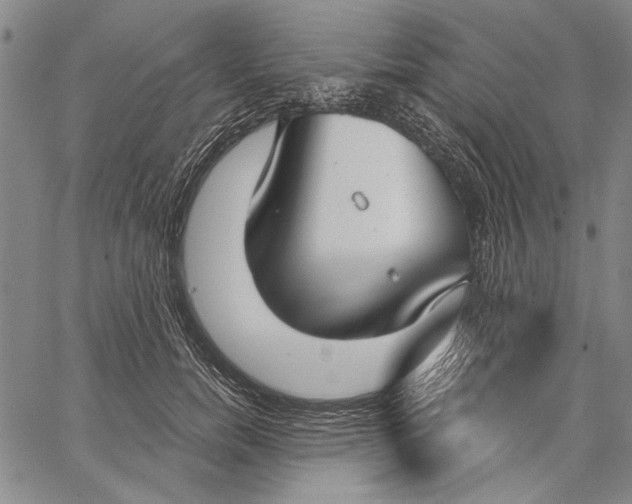 X0000067390750200604211633