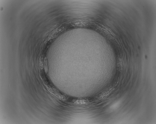 X0000067390751200604211633